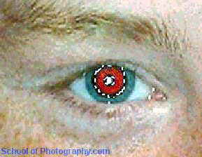 fig 2 Red Eyes © digital photography image