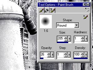 fig 3 Paint Brush Settings Image Courtesy of Jasc