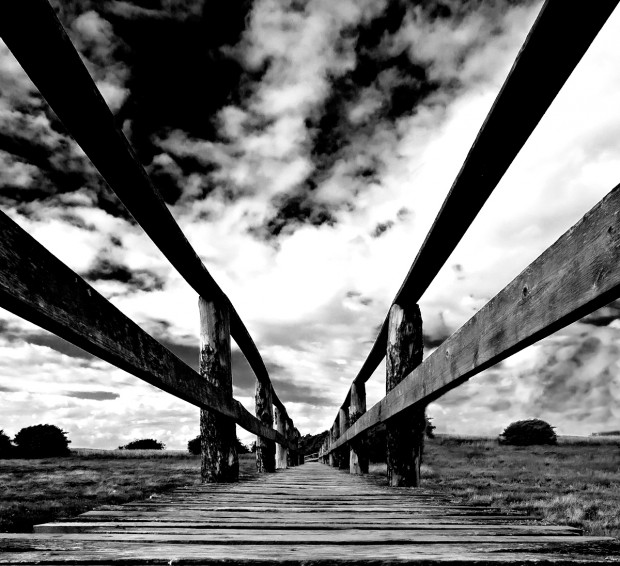 bridgeBW